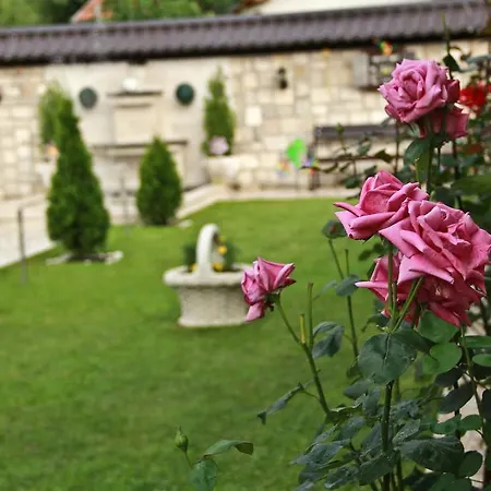 Villa Garden